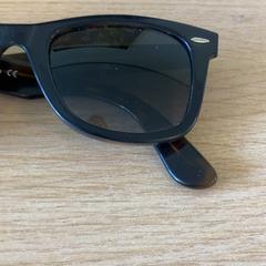 색안경, iLost를 사용하여 Keukenhof에 보고됨