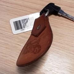 Key, as reported by Qbuzz Fryslân using iLost