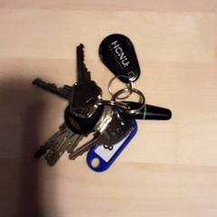Key, as reported by LUMC using iLost