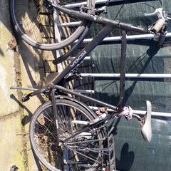 Men’s bike Koga miyata Zwart, as reported by Stadswerk072 using iLost