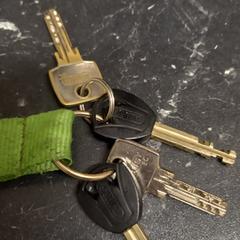 sleutelbos, jak zgłoszono do iLost