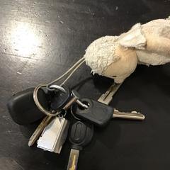 Kľúč, ako bolo nahlásené U-OV Utrecht pomocou iLost