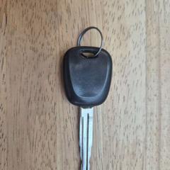 Clau del cotxe, segons ha informat Gemeente Wageningen mitjançant iLost