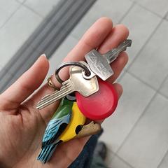 Sleutel met vogel sleutelhanger, segundo informou a iLost