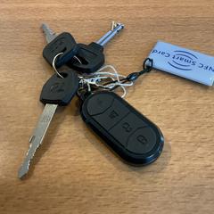 İLost kullanarak Gemeente Amsterdam - Bureau Gevonden Voorwerpen tarafından bildirildiği gibi Anahtarlar