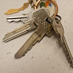 열쇠, iLost를 사용하여 GVB에 보고됨