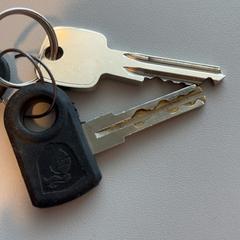 İLost kullanarak Arriva Limburg Noord tarafından bildirildiği gibi Anahtarlar