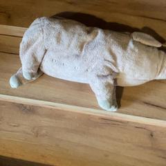 Knuffel, ha sido reportado por Attractie- & Vakantiepark Slagharen con iLost