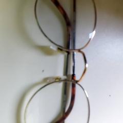 Brýle, jak nahlášeno Centraal magazijn pomocí iLost