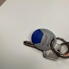 Key, as reported by ilévia using iLost