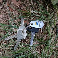 Sleutelbos met Vattenfall laadpas druppel がiLostに報告されました