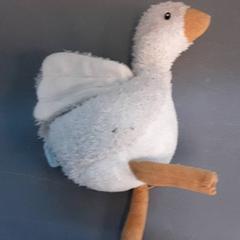 Dolls, as reported by Diergaarde Blijdorp using iLost