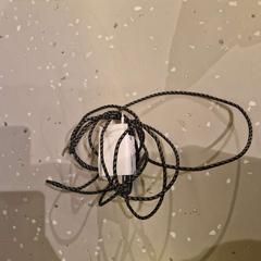 Carregador WHITE WITH BLACK GREY CORD, como reportado por Room Mate Bruno utilizando o iLost