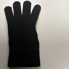 Kleding - Handschoen, ako bolo nahlásené Regio Limburg - Leuven pomocou iLost