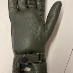 Gloves, as reported by GVB using iLost