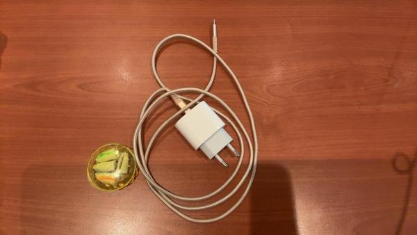Adapter Witte usbc oplader En oordoppen