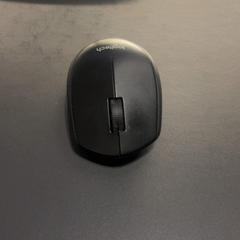 쥐, iLost를 사용하여 Van der Valk Hotel Houten에 보고됨