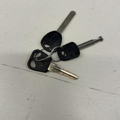 Chiave, come riportato da GVB utilizzando iLost