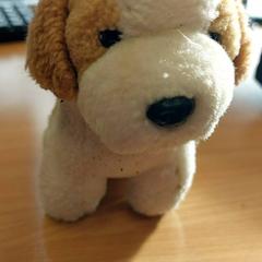 Hračka White and Brown doggy., jak nahlášeno TU/e - Receptie Neuron pomocí iLost