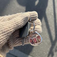 Keys with a photo on a keychain: Gustav Mahlerlaan, come riportato a iLost