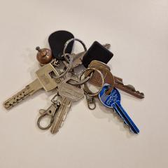 Sleutelbos, zgłoszono przez Gemeente Noordwijk przy użyciu iLost