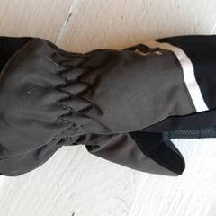 Guants, segons ha informat DierenPark Amersfoort mitjançant iLost