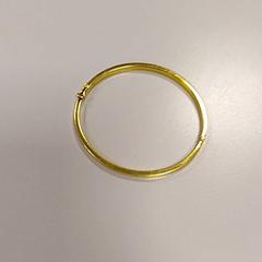 Bracelet, a été signalé par Vrije Universiteit Amsterdam utilisant iLost