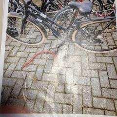 Bicicleta de senhora, como reportado por Gemeente Roermond utilizando o iLost