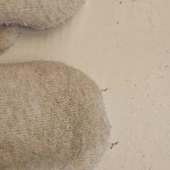 Rękawice, zgłoszono przez GVB przy użyciu iLost