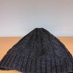 Cantant, segons ha informat Keolis Lund mitjançant iLost