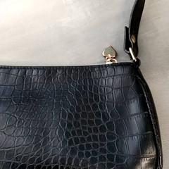 حقائب حمل وحقائب اليد Zwart، كما تم الإبلاغ عنه بواسطة Arriva Friesland / Groningen عبر iLost