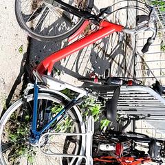 Dámsky bicykel giagt, ako bolo nahlásené Stadswerk072 pomocou iLost
