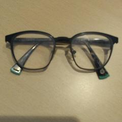 안경, iLost를 사용하여 Walibi Holland에 보고됨