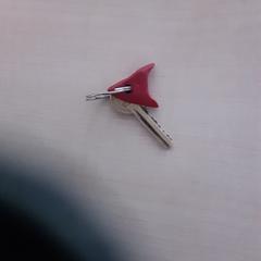 Sleutel, a été signalé par LUMC utilisant iLost