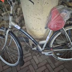 Dámsky bicykel, ako bolo nahlásené Gemeente Roermond pomocou iLost