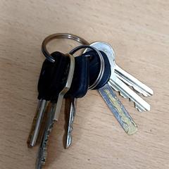 Schlüsselanhänger, gemeldet von Qbuzz GD Groningen Peizerweg über iLost