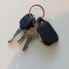 Clé & Porte clé collier, a été signalé par Arriva Limburg Zuid utilisant iLost