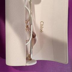 Pouzdro na brýle s brýlemi, jak nahlášeno Gemeente Oost Gelre pomocí iLost