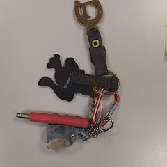 Key, as reported by Vrije Universiteit Amsterdam using iLost