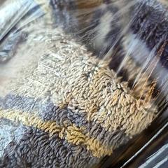 Håndkle, som rapportert av Attractie- & Vakantiepark Slagharen ved bruk av iLost