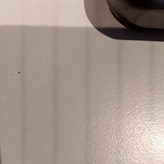 이어팟, iLost를 사용하여 De Efteling에 보고됨