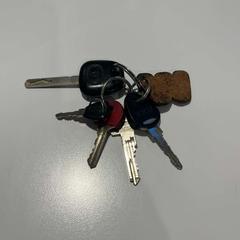 Nyckel, rapporterat av Gemeente Duiven med iLost