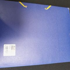 클러치백 bleue, iLost를 사용하여 TCL에 보고됨