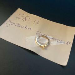 Ringe Gold plated. Bronze underneath, som rapportert av Van der Valk Duiven bij Arnhem A12 ved bruk av iLost