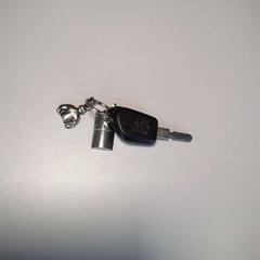 키가 있는 키 케이스, iLost를 사용하여 Twisto에 보고됨