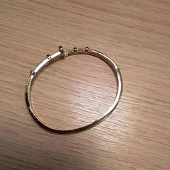 Pulseira, como reportado por Qbuzz Fryslân utilizando o iLost