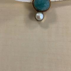 Boucle d'oreille, a été signalé par Diakonessenhuis Utrecht utilisant iLost