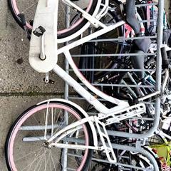 Bicicleta feminina cortina, segundo informou Stadswerk072 usando iLost