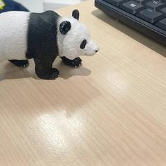 Panda en jouet, como reportado por IKEA Toulouse utilizando o iLost