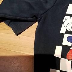 Topy, zgłoszono przez Beekse Bergen Resorts en Hotel przy użyciu iLost